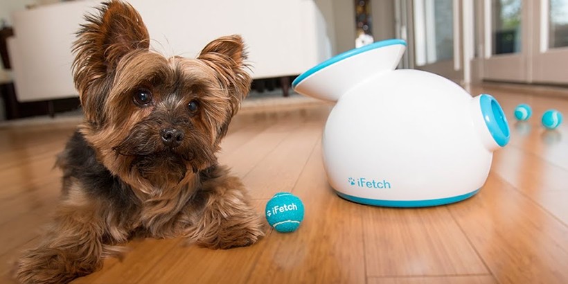 iFetch