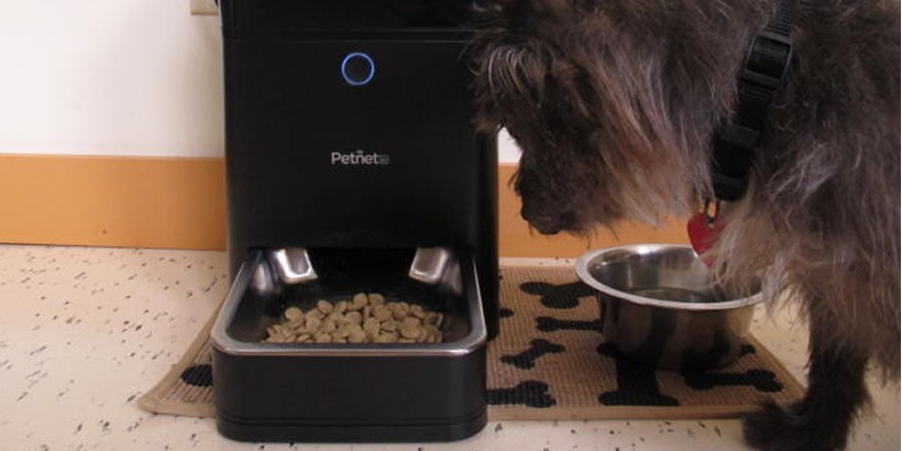 Petnet Smart Feeder