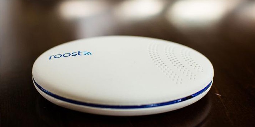 Roost Smart Leak Detector